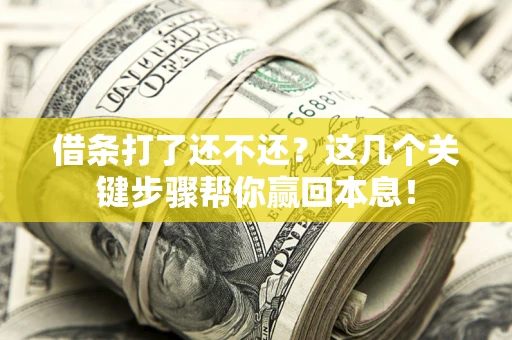 武汉借条打了还不还？这几个关键步骤帮你赢回本息！
