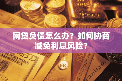 武汉网贷负债怎么办？如何协商减免利息风险？