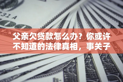 武汉父亲欠贷款怎么办？你或许不知道的法律真相，事关子女未来