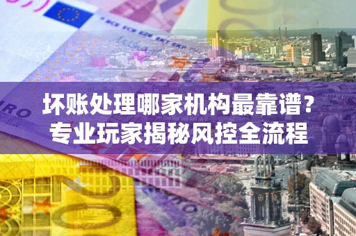 武汉坏账处理哪家机构最靠谱？专业玩家揭秘风控全流程