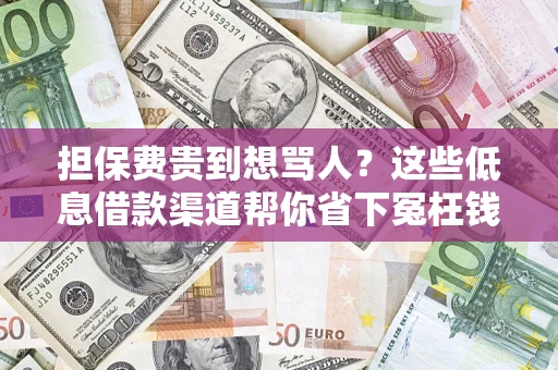 武汉担保费贵到想骂人？这些低息借款渠道帮你省下冤枉钱