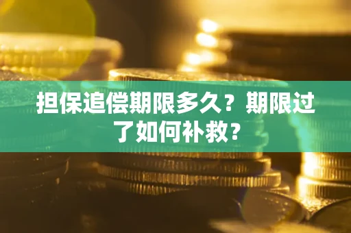 武汉担保追偿期限多久？期限过了如何补救？