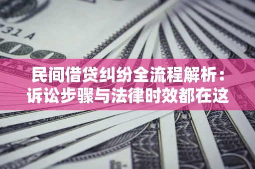 武汉民间借贷纠纷全流程解析：诉讼步骤与法律时效都在这儿了