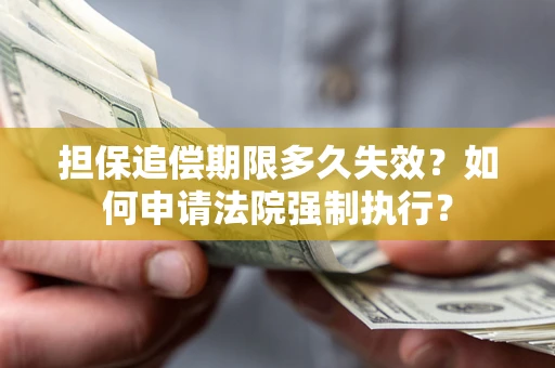 武汉担保追偿期限多久失效？如何申请法院强制执行？