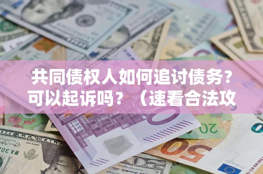 武汉共同债权人如何追讨债务？可以起诉吗？（速看合法攻略）