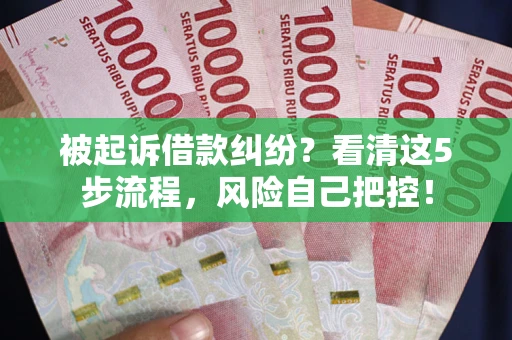 武汉被起诉借款纠纷？看清这5步流程，风险自己把控！