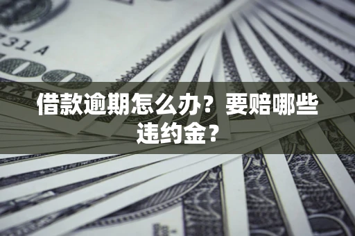 武汉借款逾期怎么办？要赔哪些违约金？
